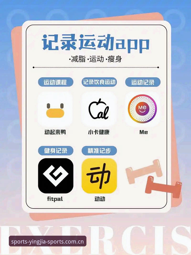 资深体育迷的实战分享：盈嘉体育官方App哪个好？看完这几点就懂了